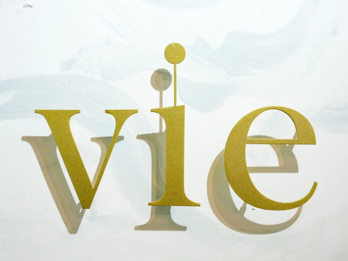 LA vie美容店形象牆招牌 3