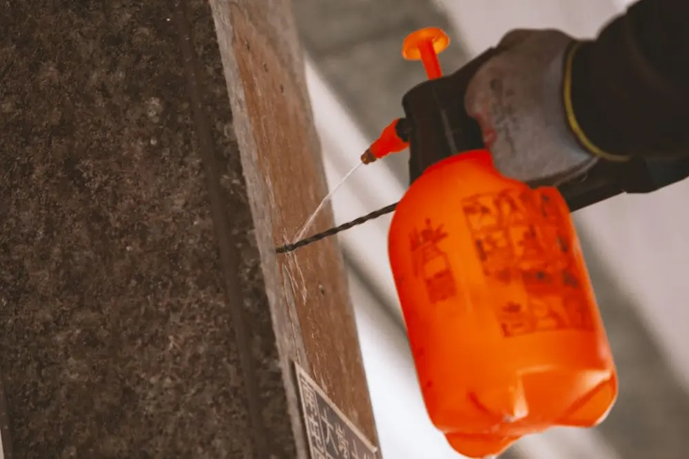 恩沛媞美學圓形招牌 5