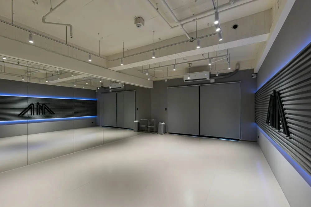 MIA DANCE STUDIO竹北館室內企口板招牌 5