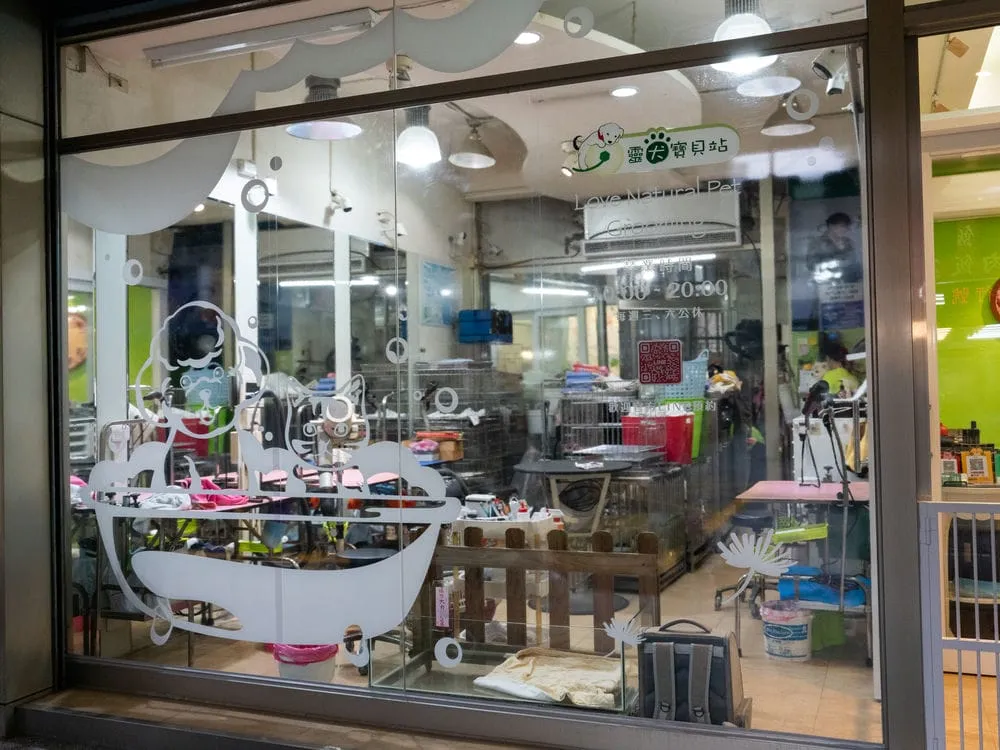 靈犬寶貝全透亮大圖輸出+施工 2